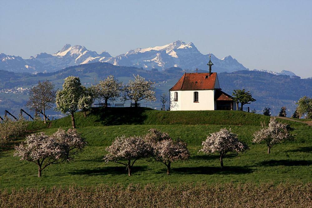 Zum Seglerhafen – Ferienappartement Kressbronn am Bodensee Exterior foto